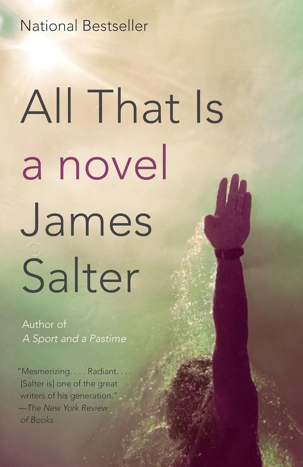 All That Is: A Novel (Vintage International) Paperback  January 28, 2014