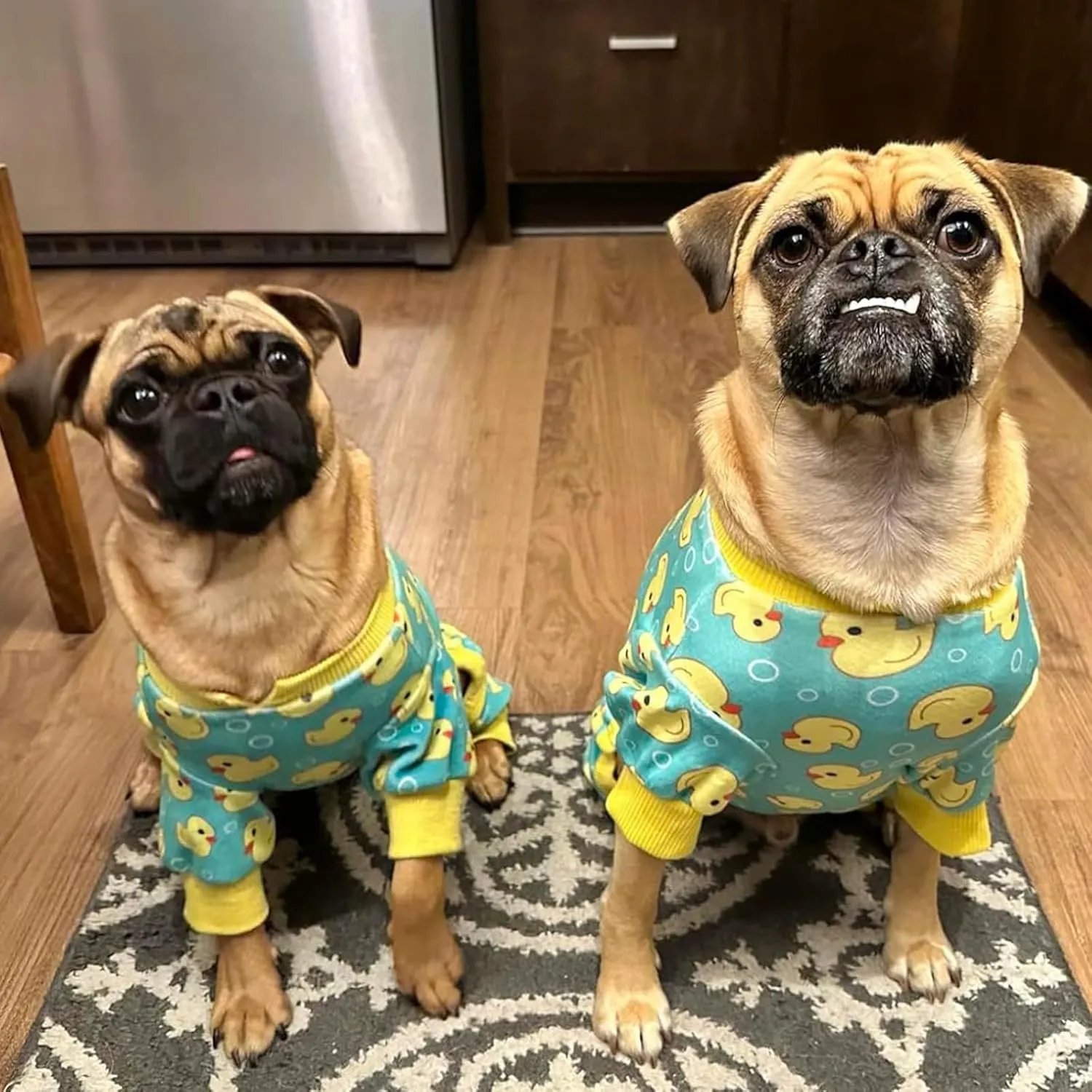 KYEESE Dog Pajamas Velvet Dog Pajamas Small Sized Dogs Soft Dogs Clothes Pjs with Yellow Ducks Pattern Stretchy Pet Jammies Coat Comfy Pet Onesie Costume, X-Large